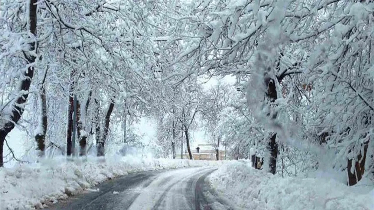 منخفض جوي يضرب لبنان مع توقعات بتساقط الأمطار والثلوج وتراجع درجات الحرارة